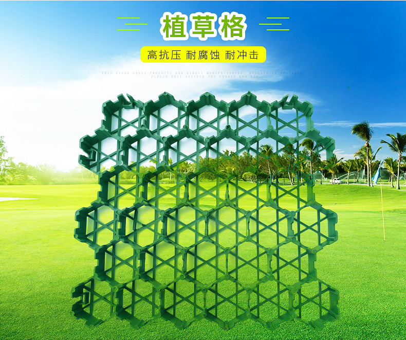 4.25植草格头图4.jpg