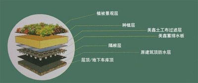排水板施工