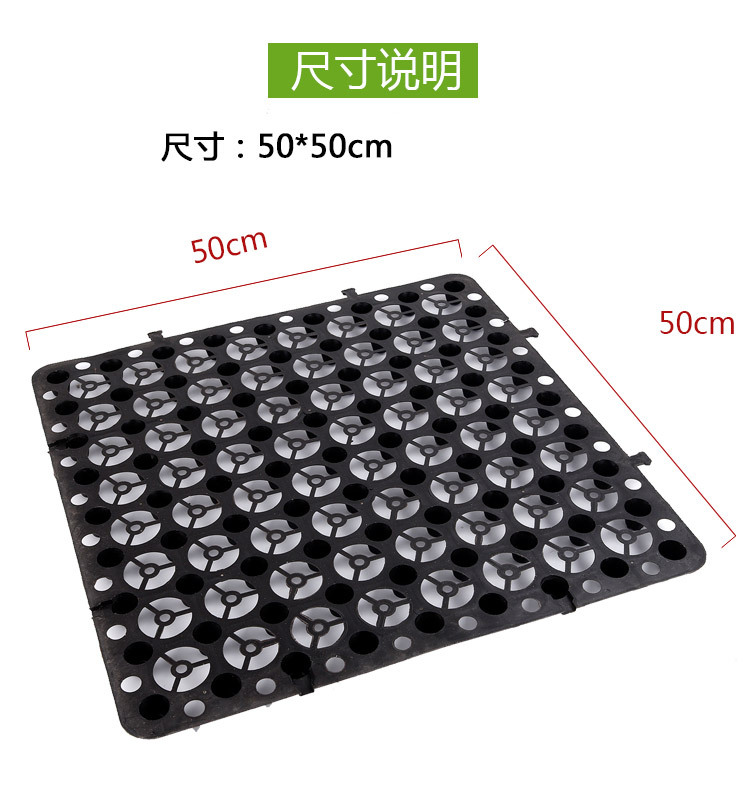 5.21组图4.jpg